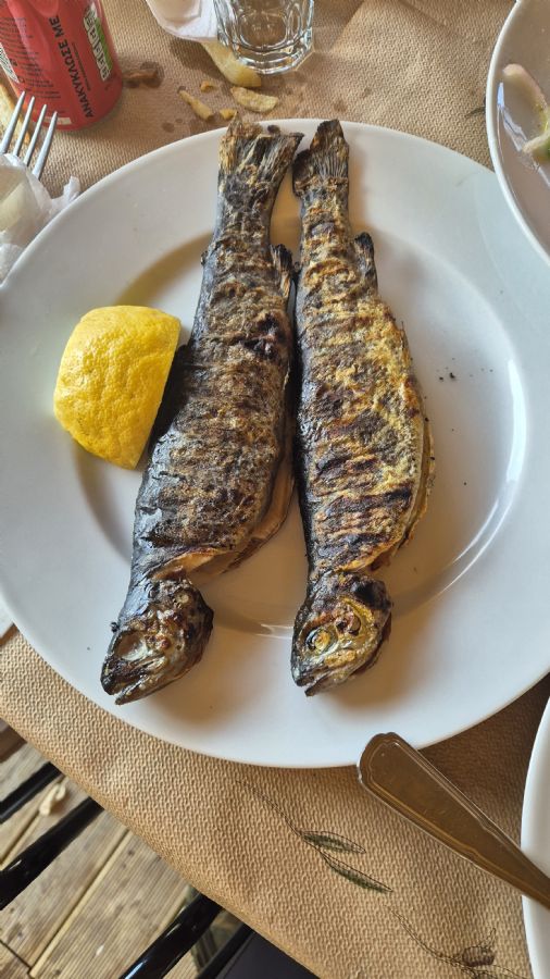 Fish Farm Kalavryta